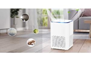 Máy lọc không khí và tạo ẩm tốt nhất giúp tăng cường sức khỏe 2024