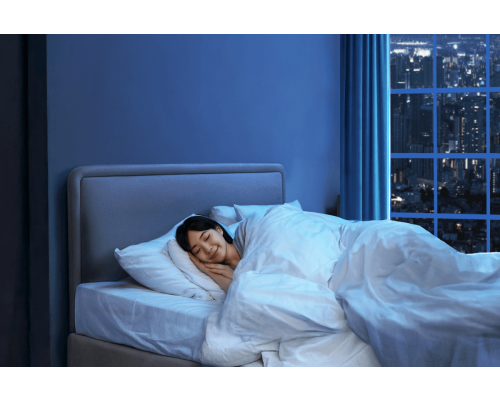 Chuẩn mực Nhật cho nh&agrave; Việt - Trọn vẹn m&aacute;t s&acirc;u, c&acirc;n bằng độ ẩm